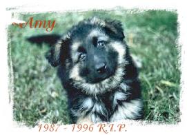 ~AMY OWNERS PENNY AND JOHN. RIP AMY
