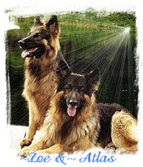 ~ ZOE & ~ ATLAS OWNER RHAYA