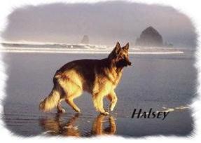 Halsey.. Thank You  Peter and Annette Castell