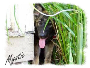 Click on photo to go see more of Mystic.