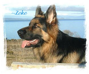 ~ Zeke. Owners Chris & Arthur